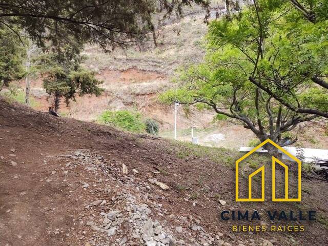 #3V - Terreno para Venta en Valle de Bravo - MC