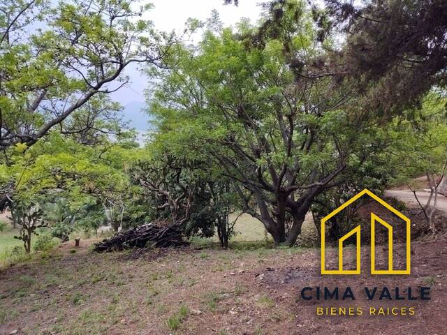 Terreno para Venta en Valle de Bravo - 4