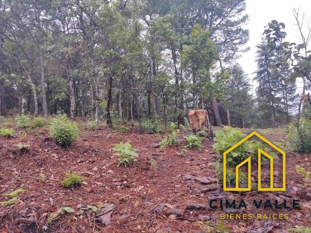 #4V - Terreno para Venta en Valle de Bravo - MC