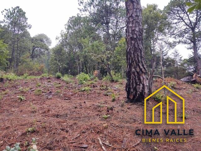 #4V - Terreno para Venta en Valle de Bravo - MC