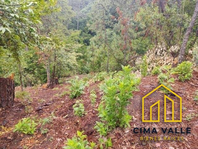 Terreno para Venta en Valle de Bravo - 5