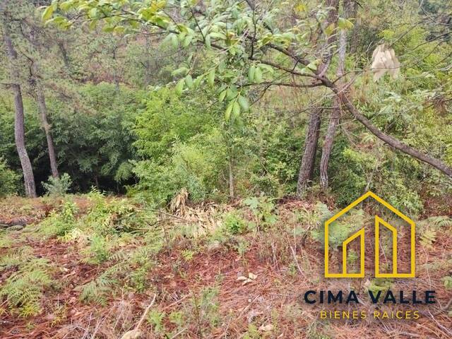 Terreno para Venta en Valle de Bravo - 4