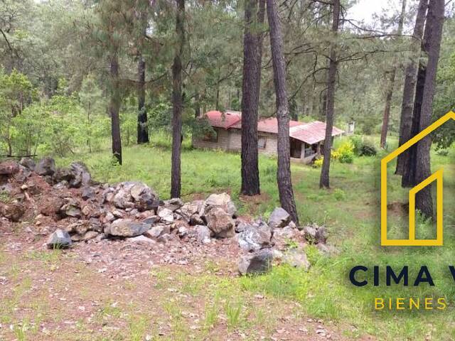 Terreno para Venta en Valle de Bravo - 4