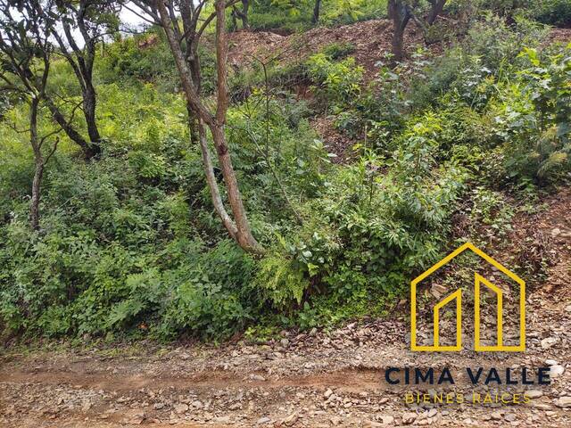 Terreno para construcción para Venta en Valle de Bravo - 4