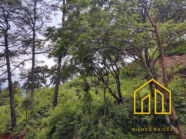 Terreno para construcción para Venta en Valle de Bravo - 5