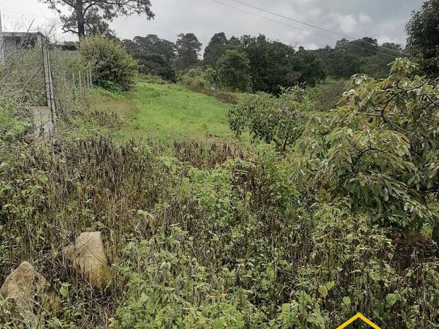 #16V - Terreno para Venta en Valle de Bravo - MC