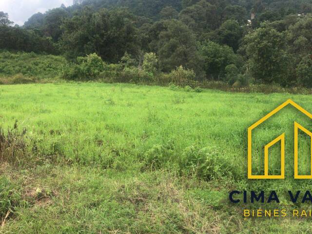 Terreno para Venta en Valle de Bravo - 4