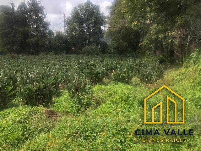 #17V - Terreno para Venta en Valle de Bravo - MC