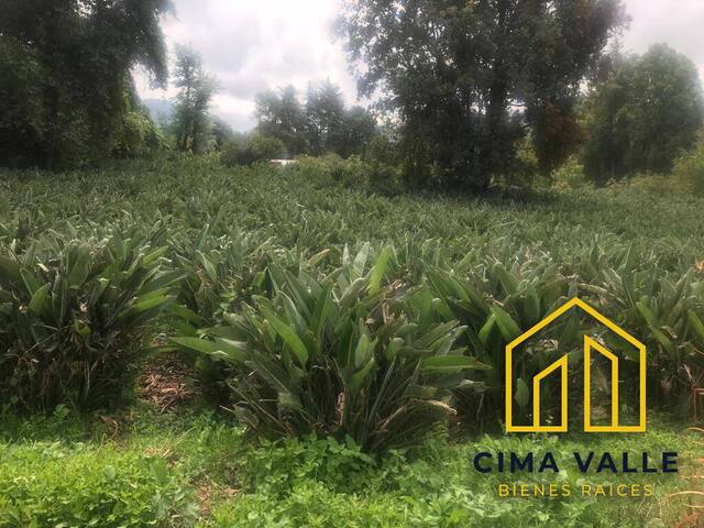 Terreno para Venta en Valle de Bravo - 4