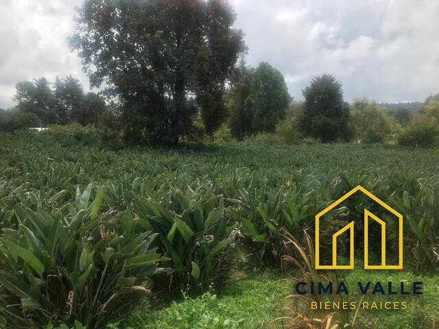 #17V - Terreno para Venta en Valle de Bravo - MC